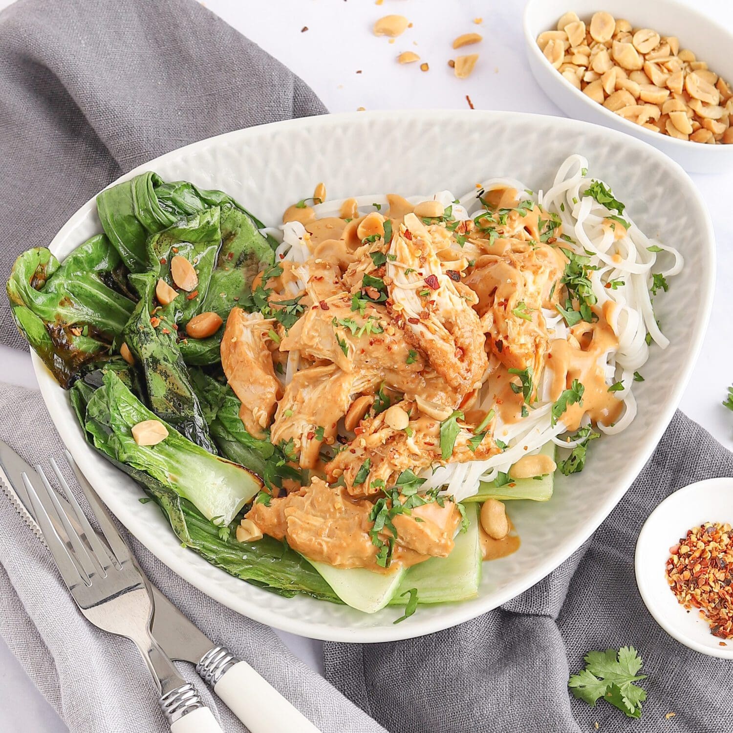 Asia Pulled Chicken