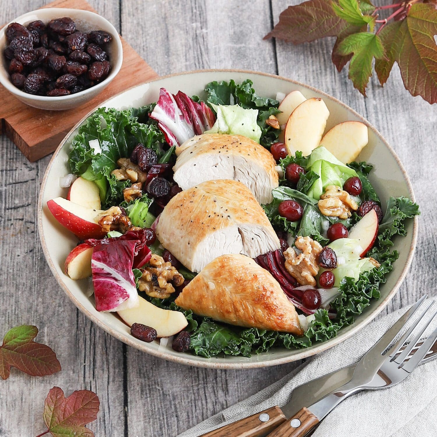 Putenfilet auf Wintersalat mit Cranberry-Dressing
